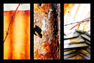 Corrugated Iron Triptych 6
